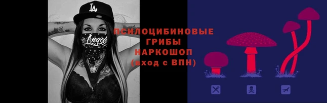 МДПВ Россошь