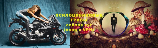 гидра Волоколамск