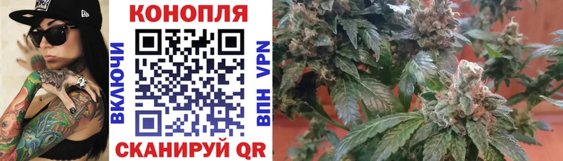 купить   Воткинск  KRAKEN ССЫЛКА  Каннабис THC 21% 